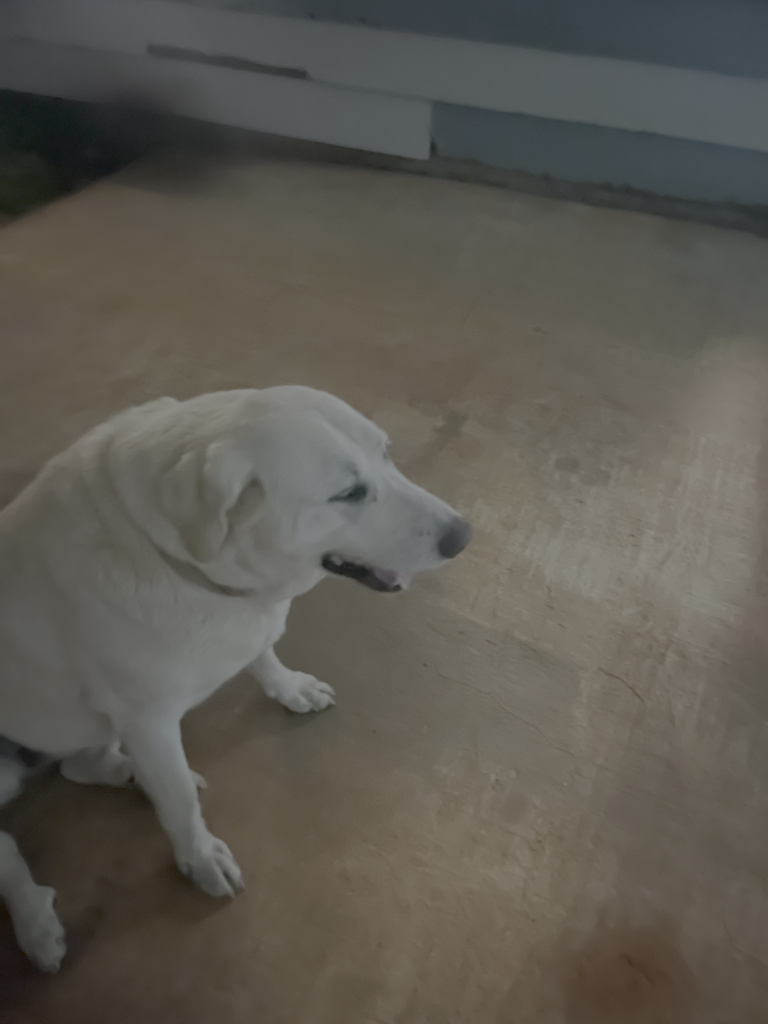 Our beautiful Daisy May Lowe