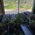 Down on the Farm – Volume 1, Issue 5