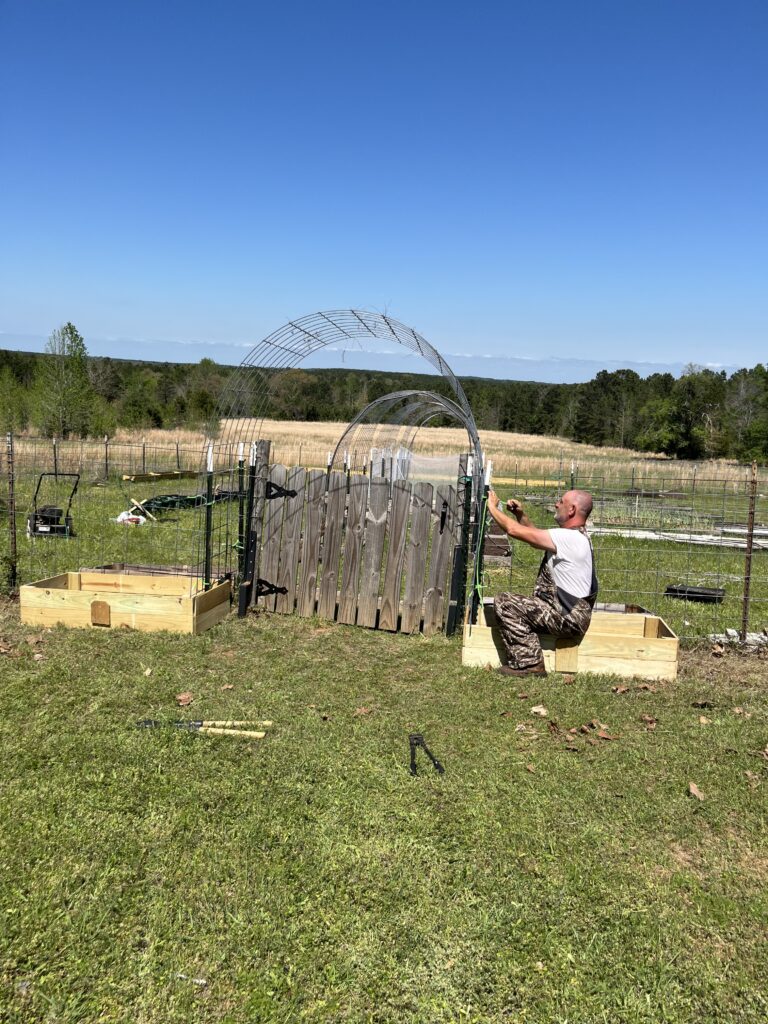 Jeremy finishing up the garden gate arche