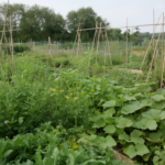 Permaculture Gardening