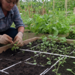 Square Foot Gardening