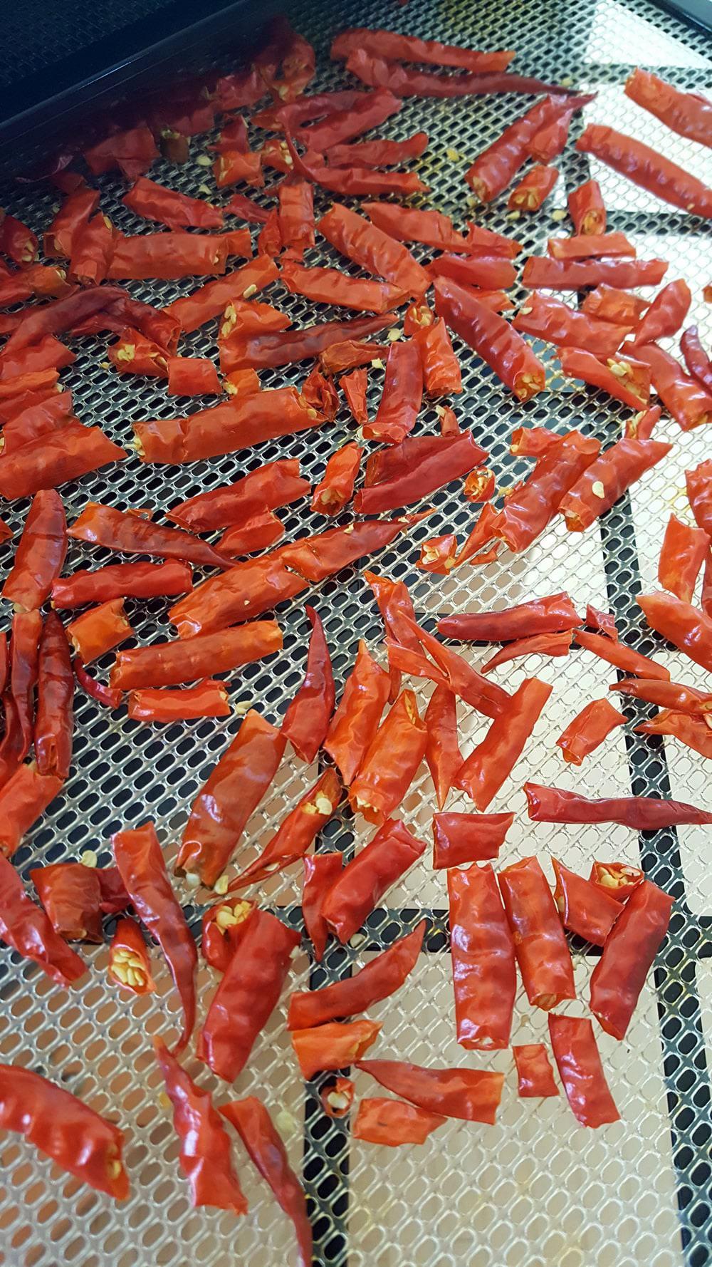 How to Grow Cayenne Peppers
