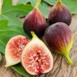 How to Grow Fig Trees