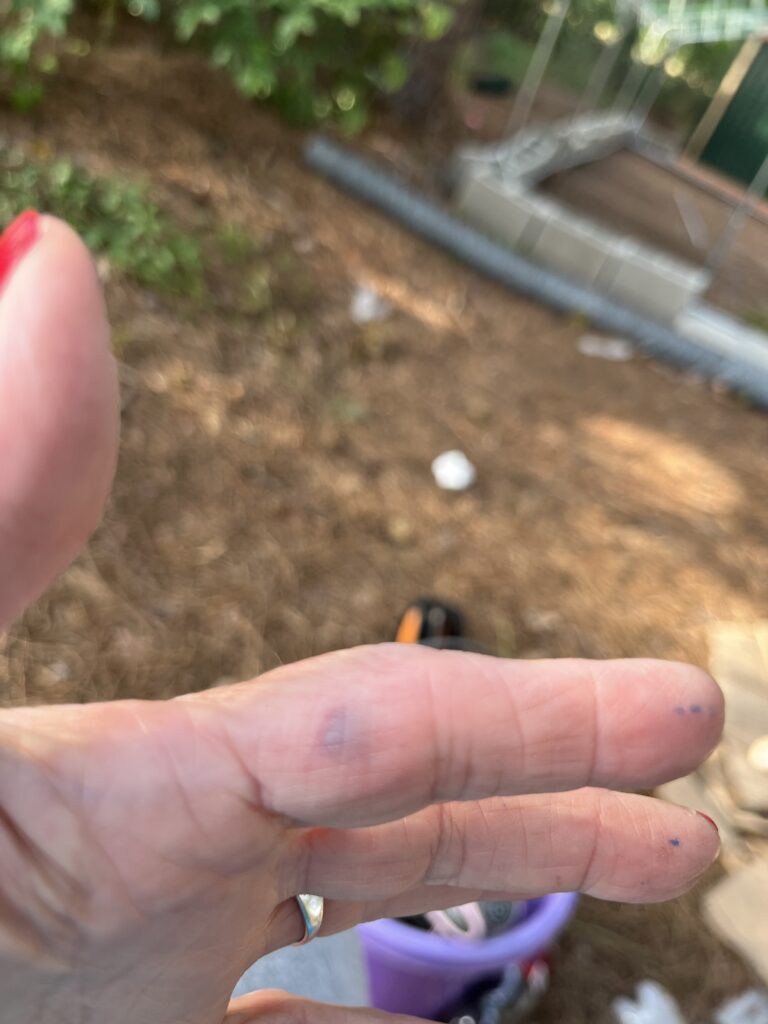 Close-up of a finger with red nail polish pinching a tiny object outdoors, blurred background with dirt and a purple bucket nearby.
