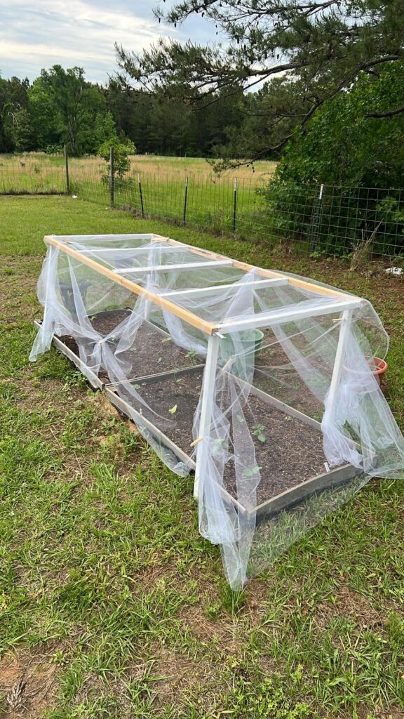 The monstrosity - netted. 